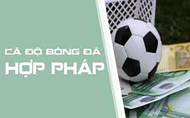 Cá độ bóng đá hợp pháp tại Việt Nam được công nhận